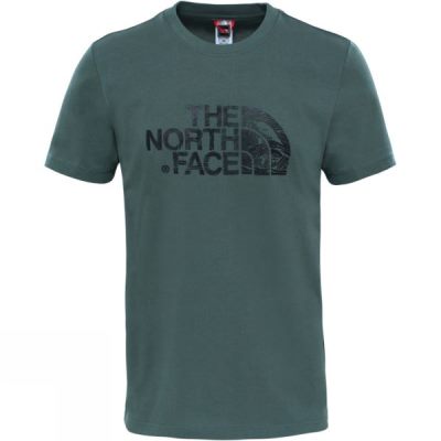 Playeras The North Face Manga Corta Woodcut Dome Hombre Verde - Chile SXM462835